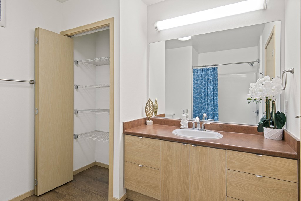 a bathroom with a sink and a mirror