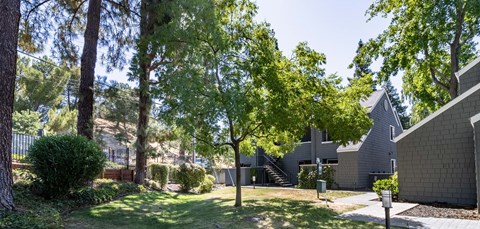 A modern house surrounded by trees.