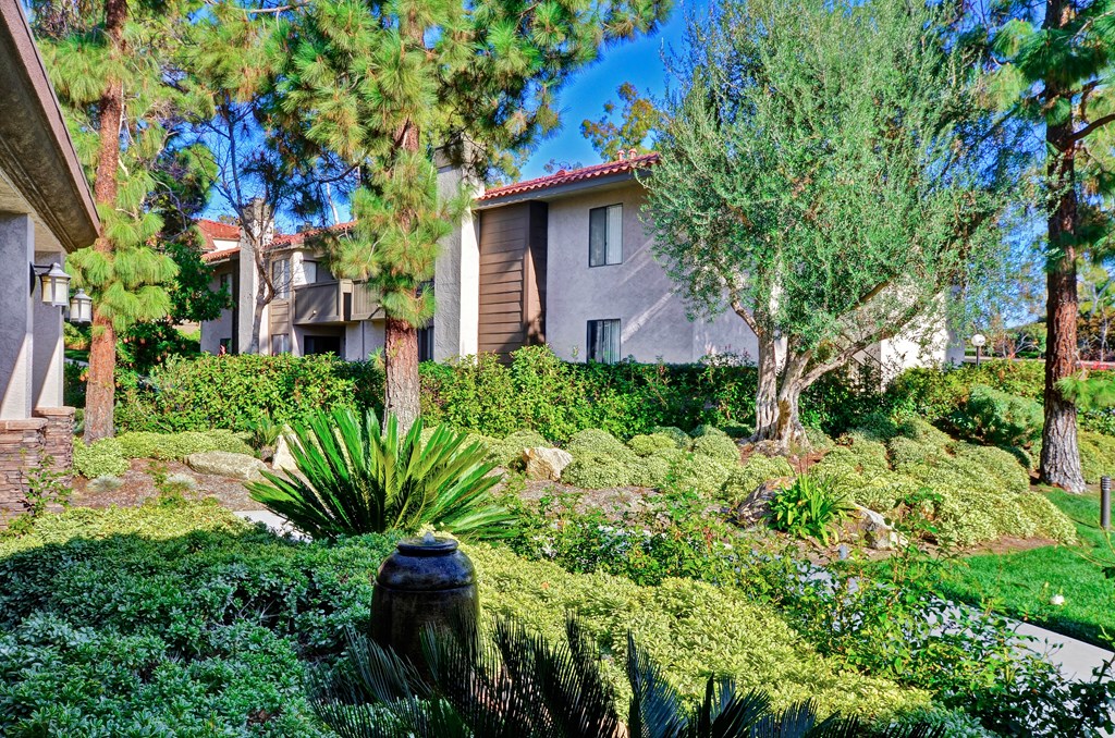 green space at Shadowridge Woodbend Apartments