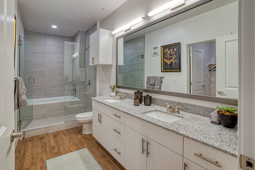 a bathroom with a shower and a sink and a mirror