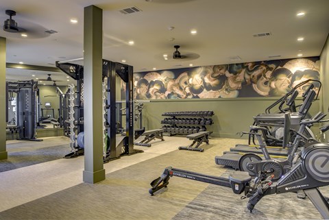 A gym with a row of treadmills and a row of weight machines.