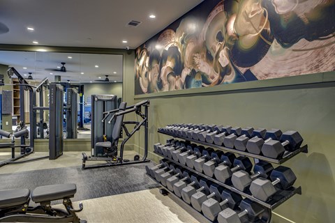 A gym with a row of dumbbells on the right.