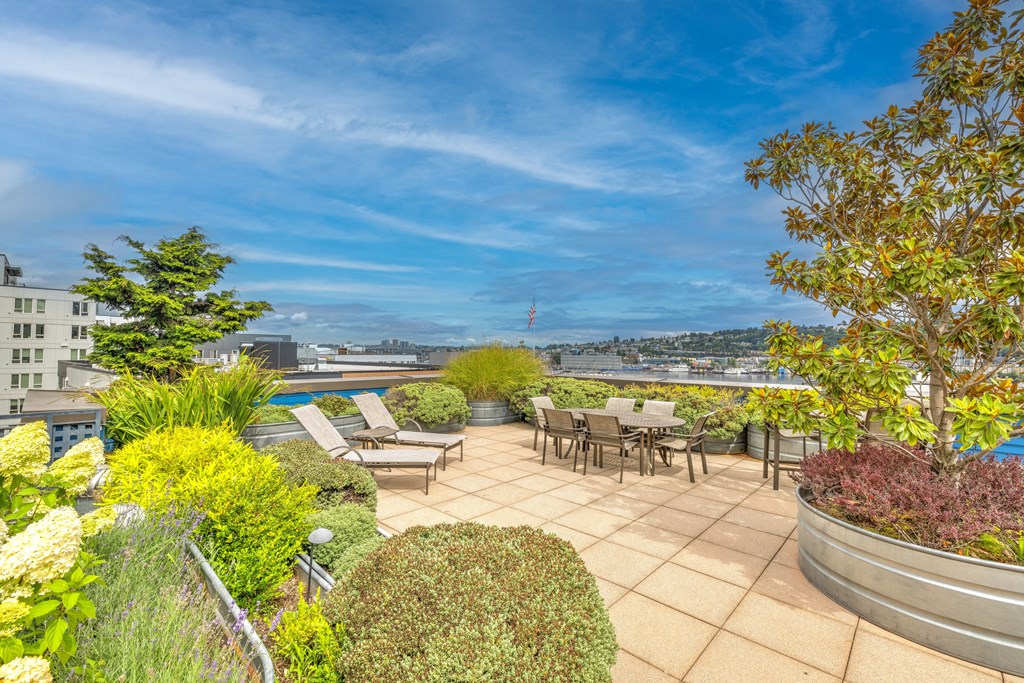 Dexter Lake Union Rooftop  at Dexter Lake Union, Seattle, 98109