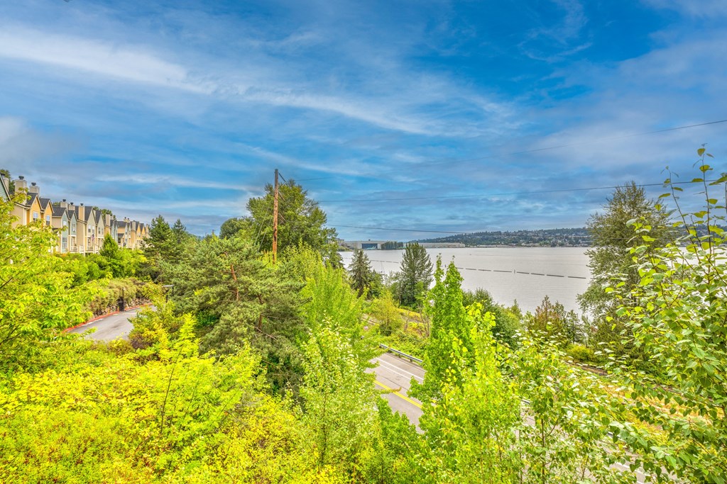 Bella Vista View Of Lake Washington