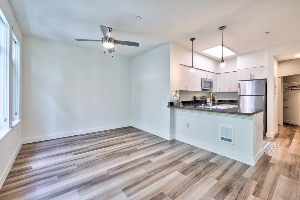 Living room and Kitchen