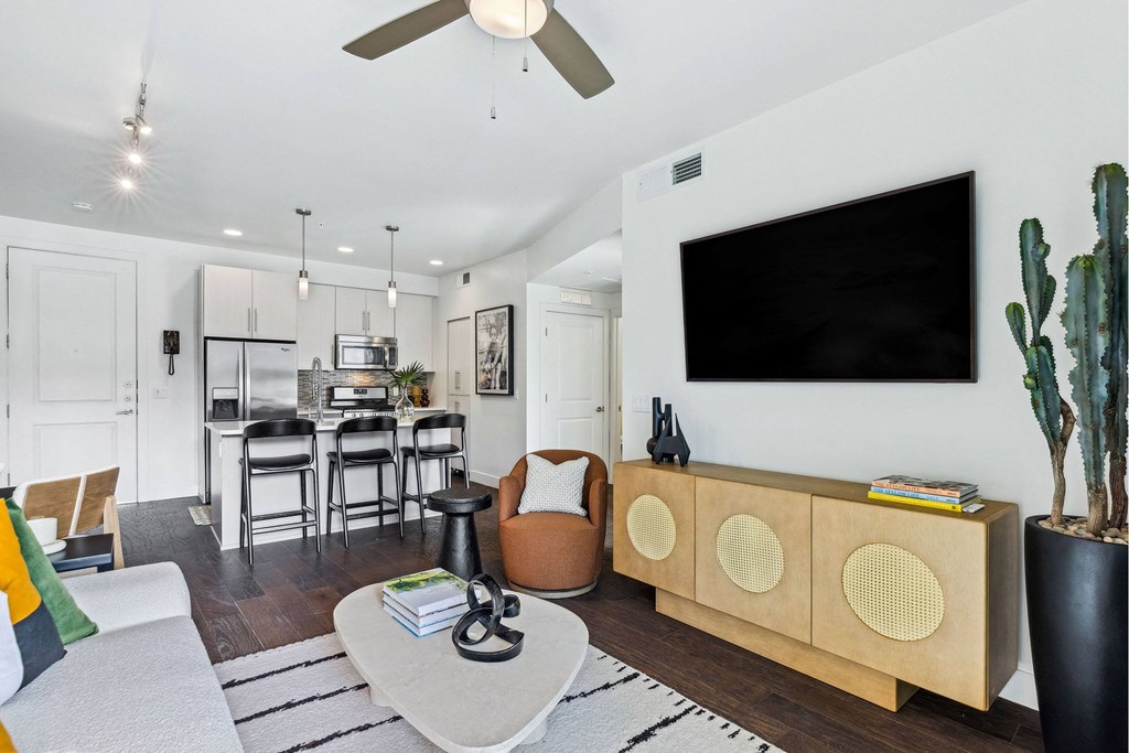 A living room with a couch, a chair, a coffee table, a television, and a cactus.