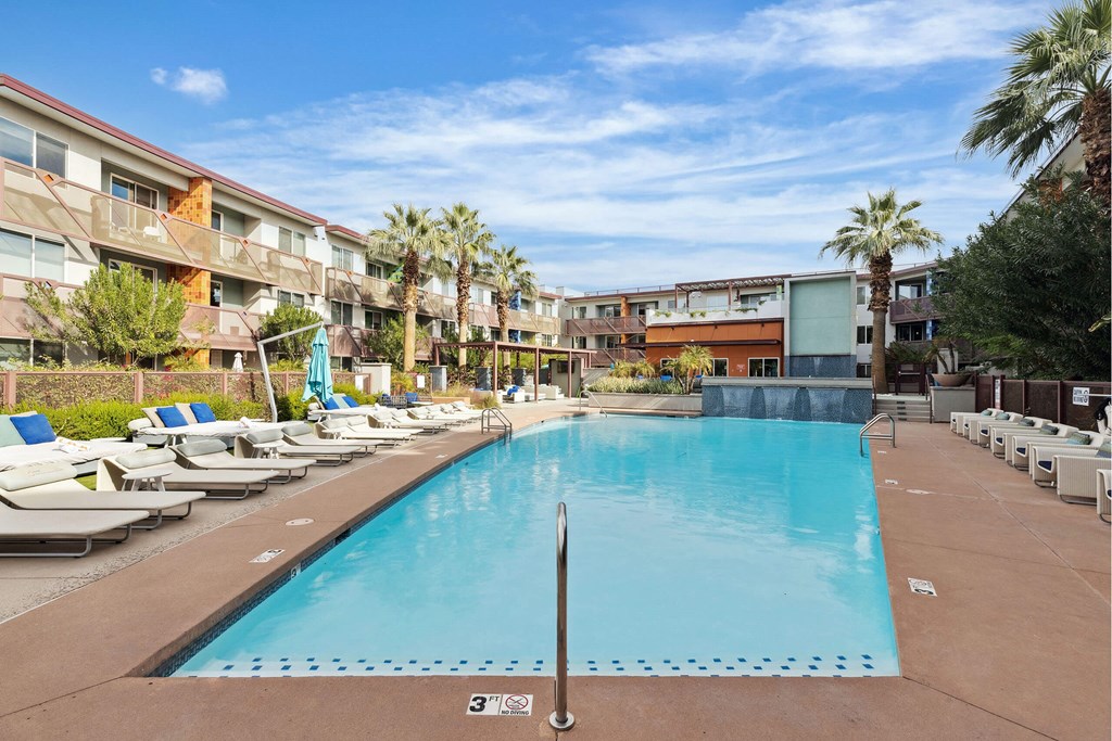 A large swimming pool surrounded by sun loungers and palm trees.