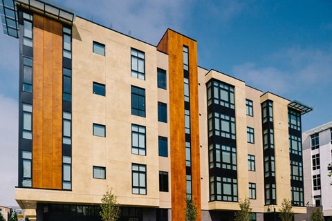 building rendering
