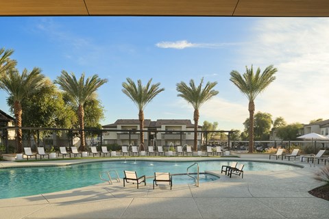 a swimming pool with chairs and palm trees