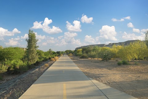 a long road with trees on both sides and a blue sky with clouds