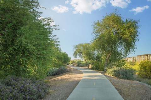 a road with trees on both sides and buildings on the side of the road