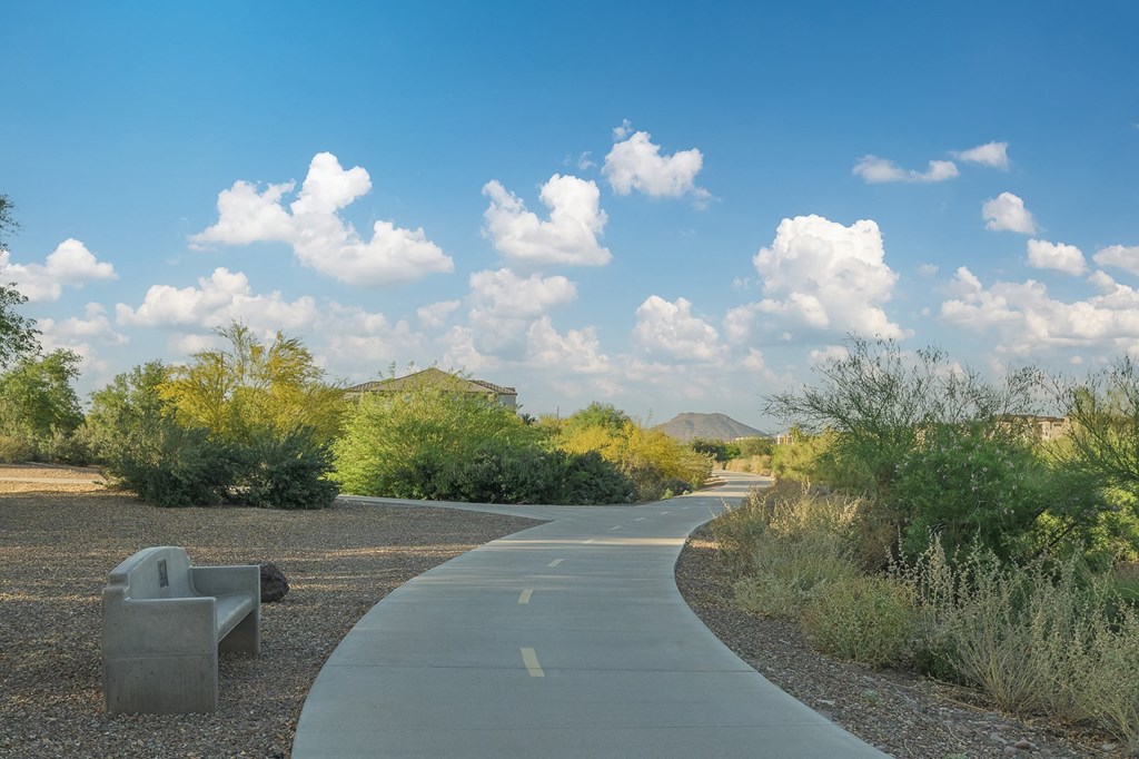 a path through the desert with trees and a bench