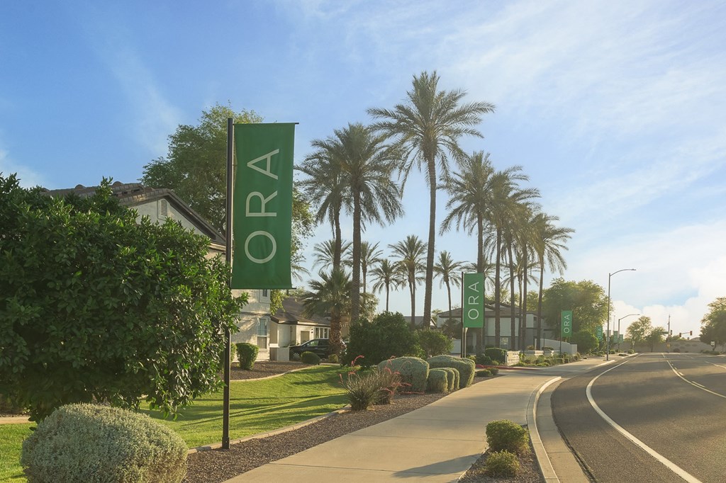 a street with palm trees and signs on the side of a road