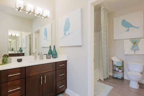 a bathroom with a large mirror and a sink and a toilet