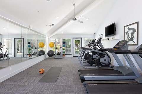 Fitness Center Equipped With Cardio Machines, Yoga Balls, Weighted Workout Balls, TV, Ceiling Fan, And Full Body Mirror