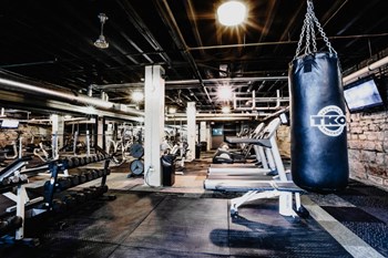 Gym - Photo Gallery 14