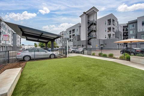 A car is parked under a canopy in a grassy area.