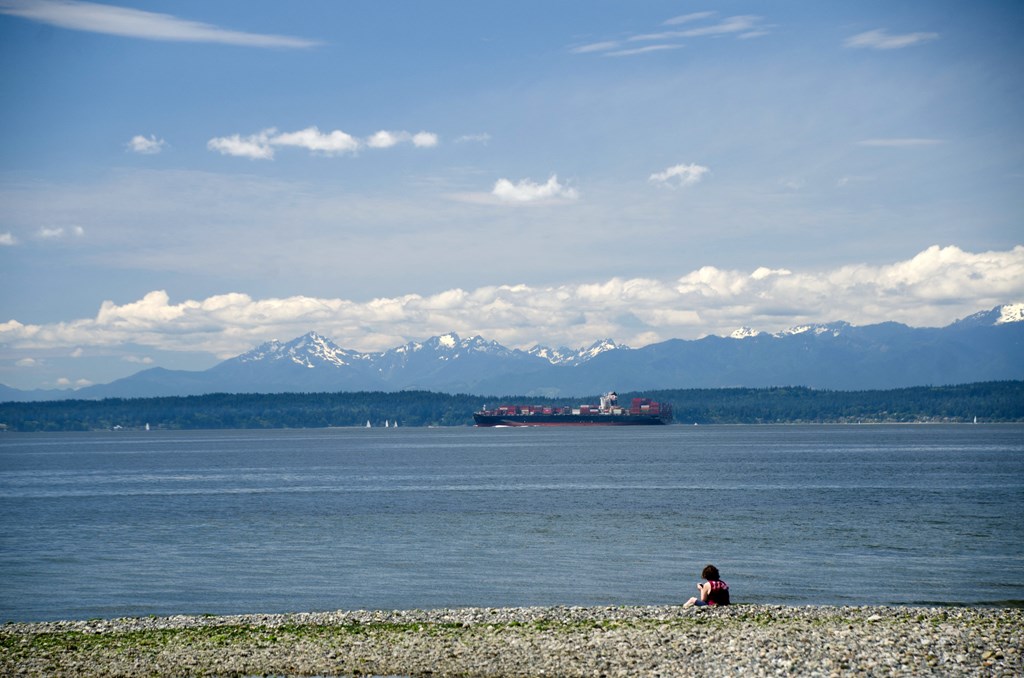 a woman sits on the beach with a ship in the background at Ion Town Center, Washington