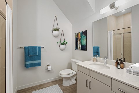 a bathroom with white cabinets and a white toilet next to a white sink with two hanging plants