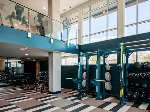 A gym with a row of weight racks and a row of dumbbells.
