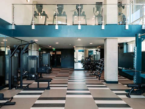 A gym with a variety of equipment and a checkered floor.