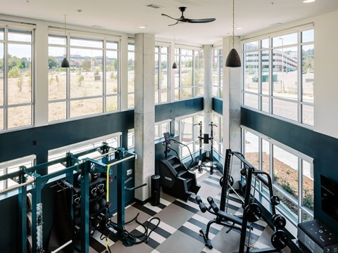 A gym with a variety of equipment including weights and a bench press.