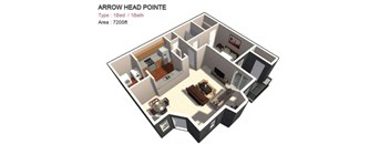 1x1 Large floor plan 720 sf