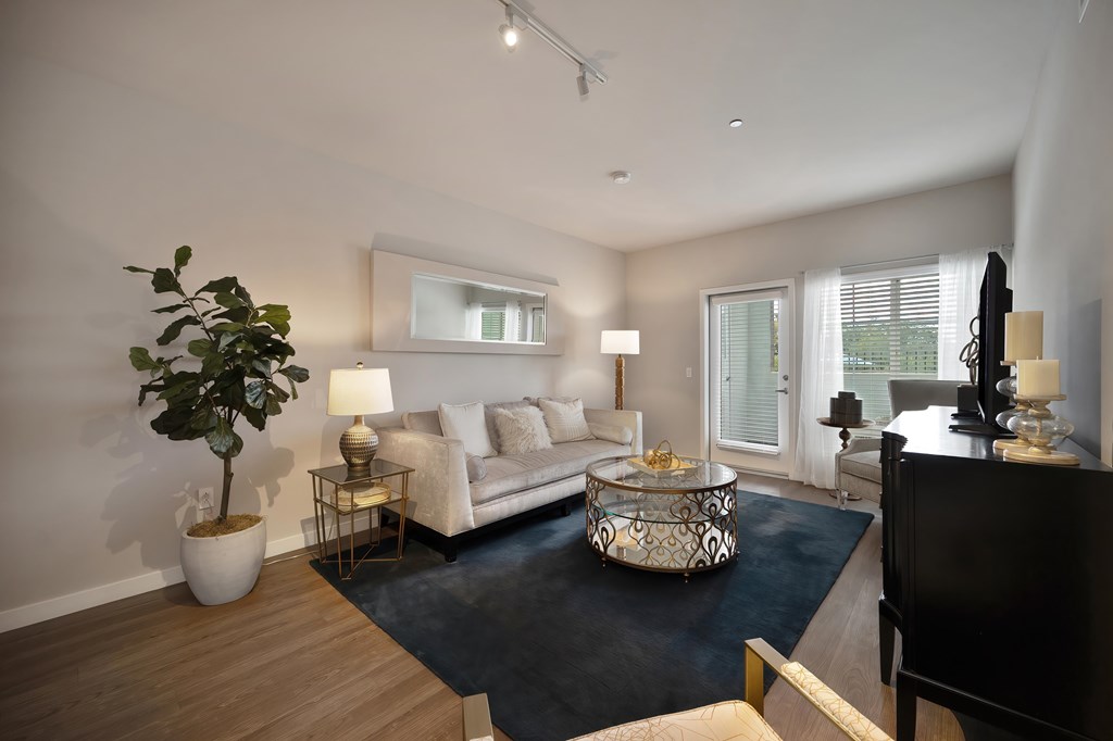 A living room with a white couch, a coffee table, and a plant.