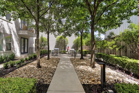 A walkway in a landscaped area with trees and shrubs.