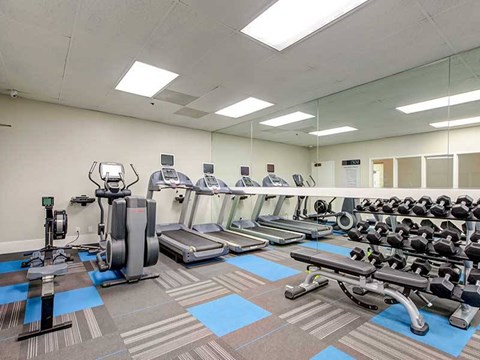 A gym with a variety of equipment including treadmills, elliptical machines, and weight racks.