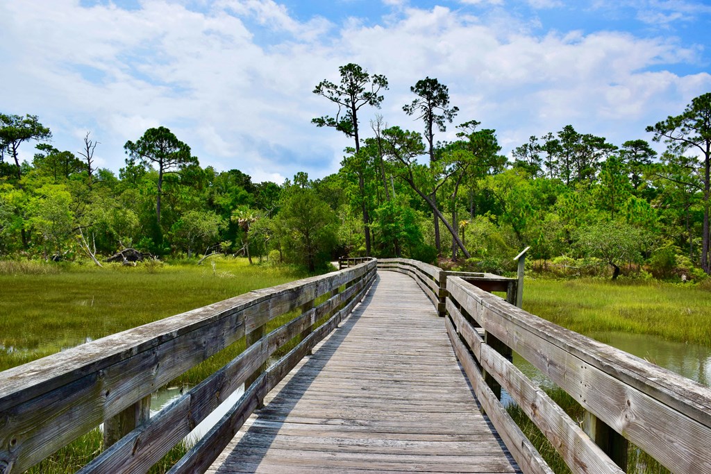 A wooden boardwalk leads through a marshy area with trees on either side.