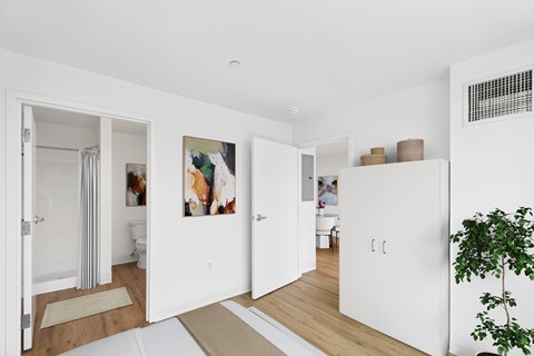 A white room with a rug and a plant.