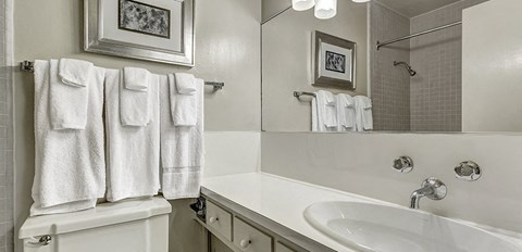 a bathroom with a sink and a toilet