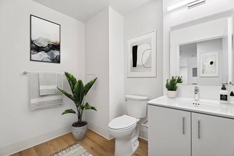 A bathroom with a toilet, sink, mirror, and a potted plant.
