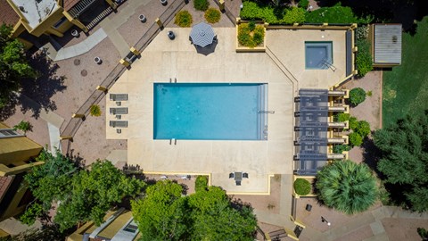 A pool surrounded by a patio and trees.
