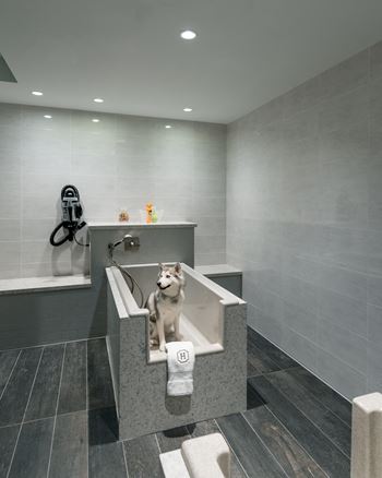 Pet-friendly living with dedicated dog run and pet spa  at Stanza Little Italy, San Diego, CA, 92101