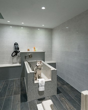 Pet wash area - Photo Gallery 13