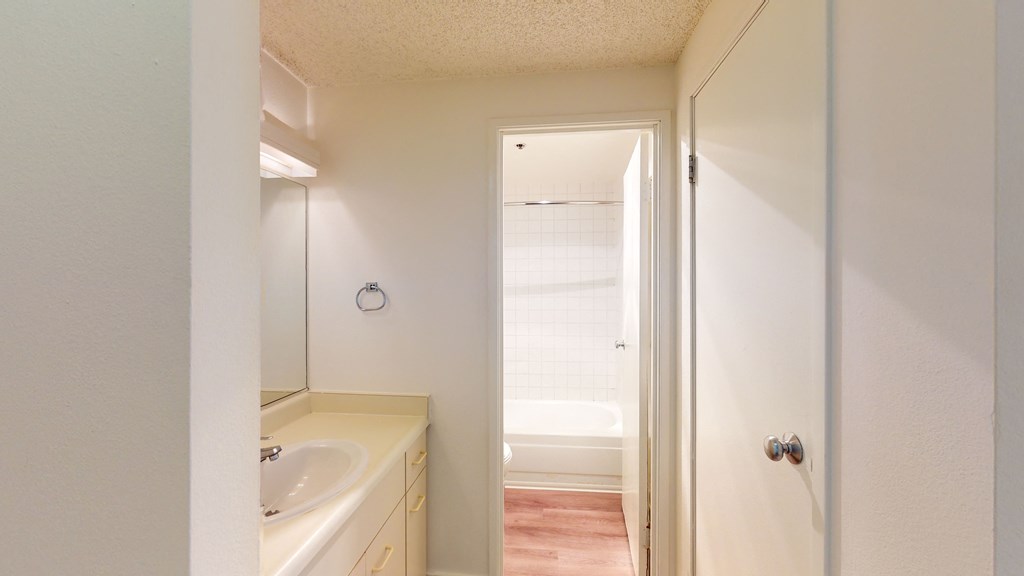 a bathroom with a sink and a bathtub