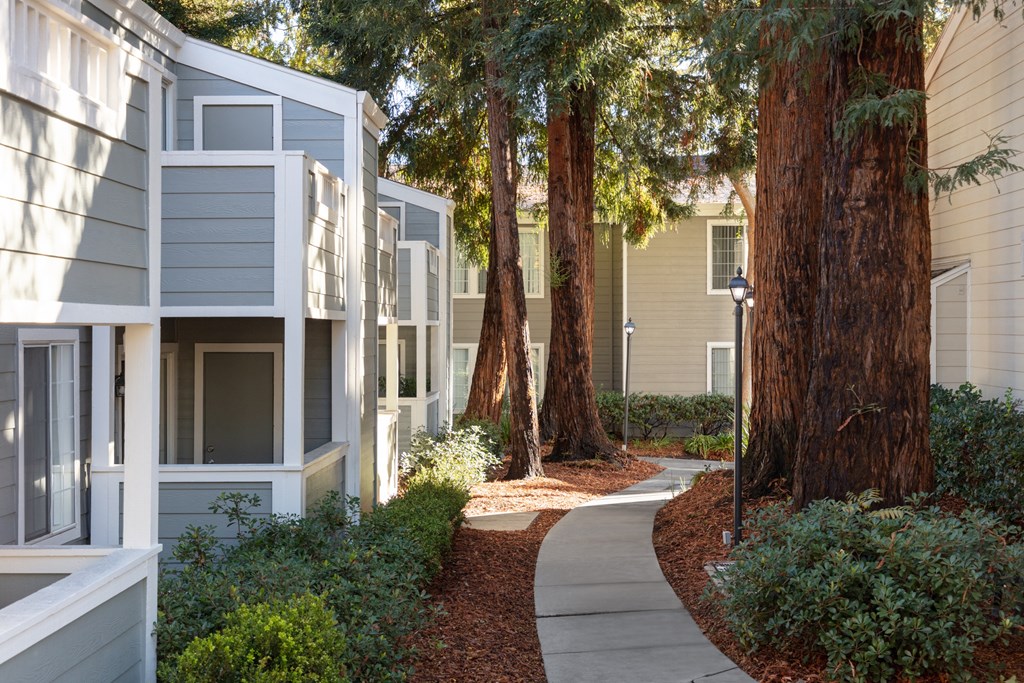 a pathway lined with trees in front of an apartment building