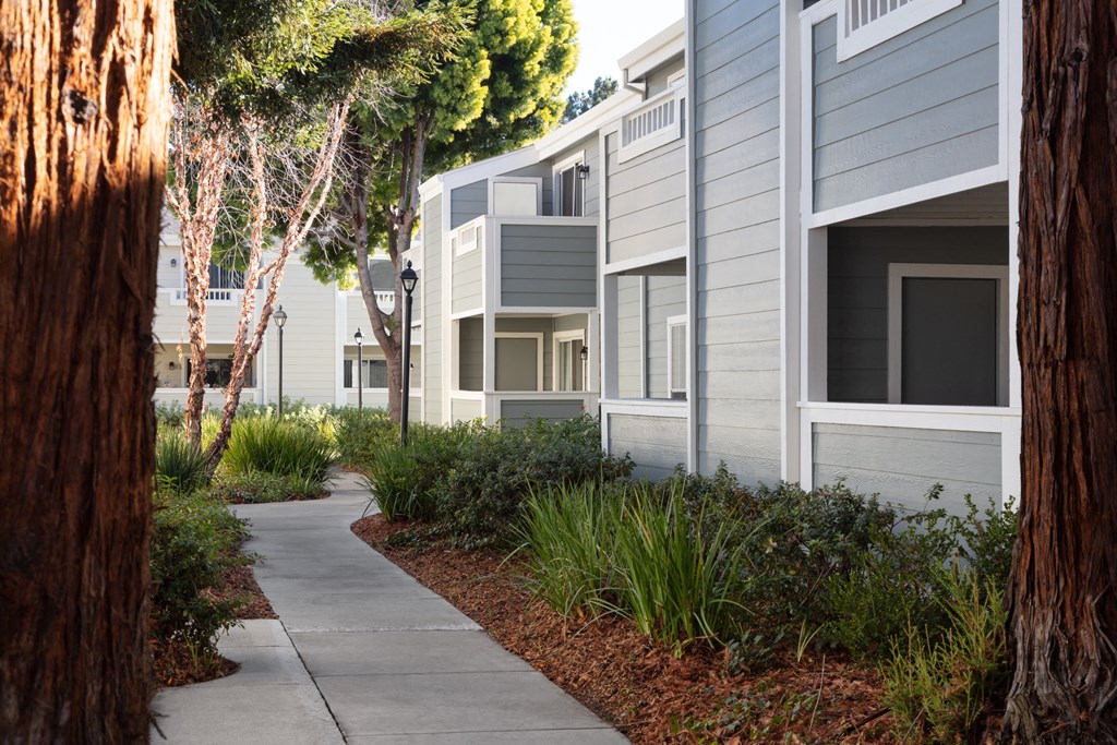 a sidewalk lined with plants and trees in front of a building