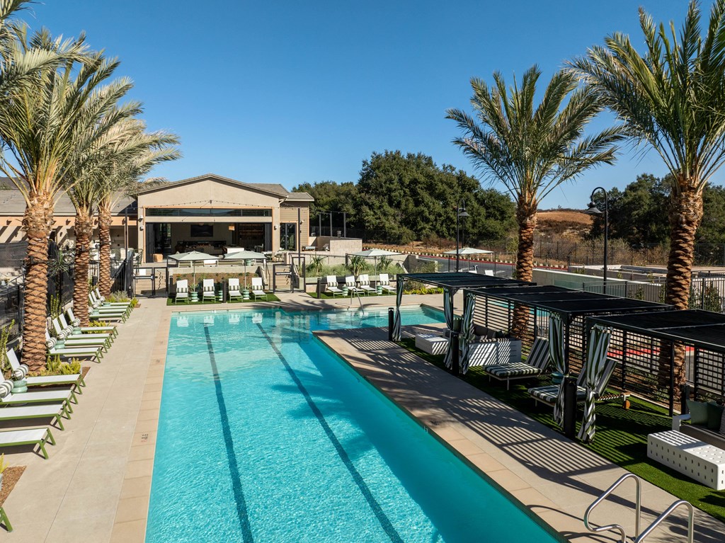 A large swimming pool surrounded by palm trees and lounge chairs.