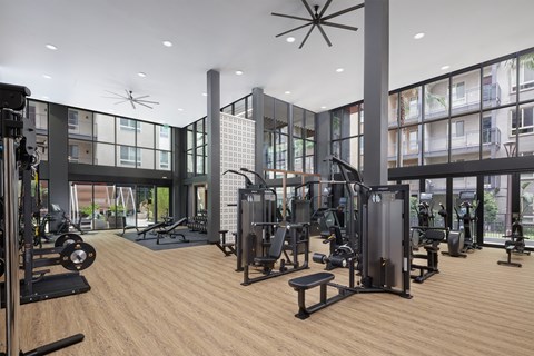 A gym with a variety of equipment including weights and cardio machines.