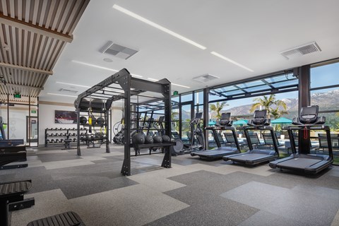 a view of the fitness center with treadmills and other exercise equipment