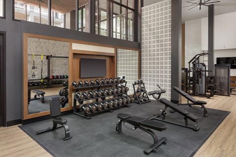 A gym with a variety of equipment including dumbbells, weight plates, and a bench press.