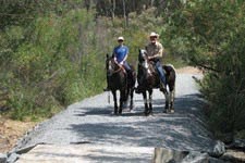 two men riding horses down a dirt road