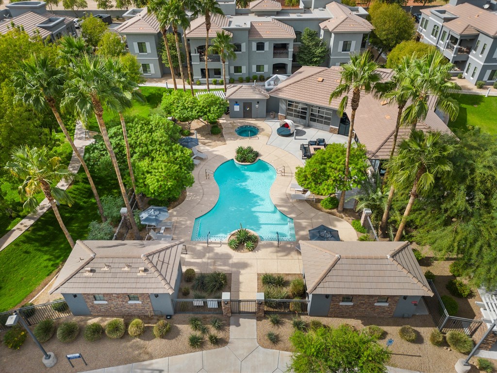 an aerial view of a swimming pool in a community with houses
