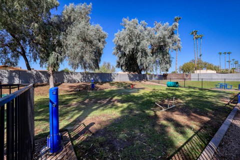 a large grassy area with trees in the background and a fence in the foregroundat The Julia, Arizona