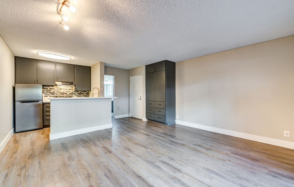 Wood Inspired Plank Flooring at The Chadwick, Los Angeles, 90004