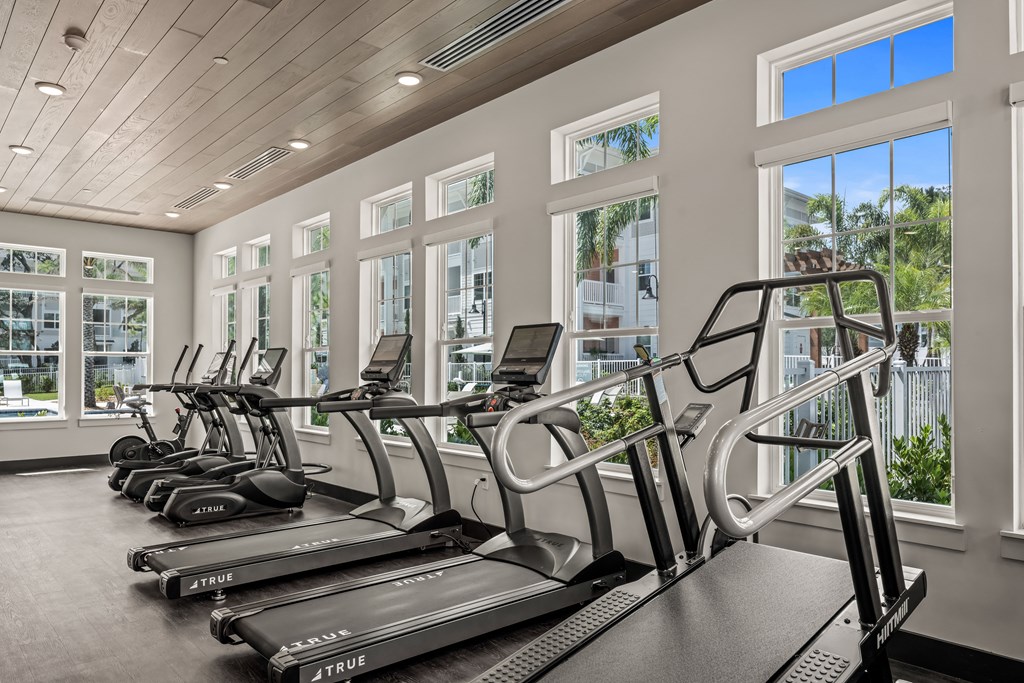 a row of treadmills in a fitness room with large windows