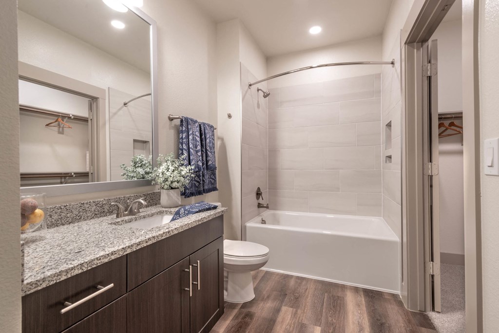 a bathroom with a sink and a toilet and a shower